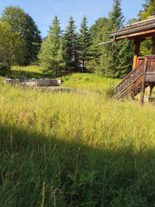 Photo de galerie - Tonte de pelouse - Débroussaillage