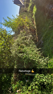 Photo de galerie - Jardinier