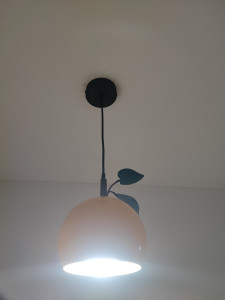 Photo de galerie - Lustre Monté côté entrée couloir d'appartement 