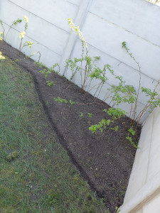 Photo de galerie - Paysagiste - Aménagement du jardin