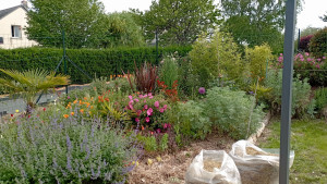 Photo de galerie - Paysagiste - Aménagement du jardin