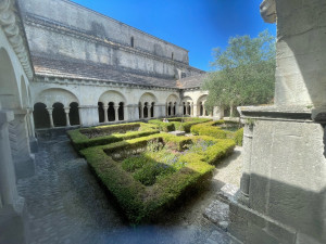 Photo de galerie - Taille de haie 