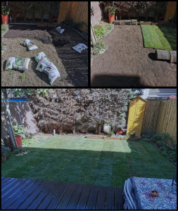Photo de galerie - Paysagiste - Aménagement du jardin