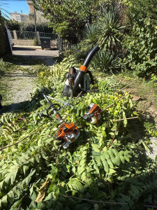 Photo de galerie - Jardinier