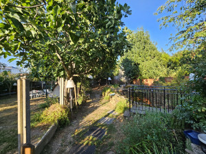 Photo de galerie - Elagage et coupe d'arbres