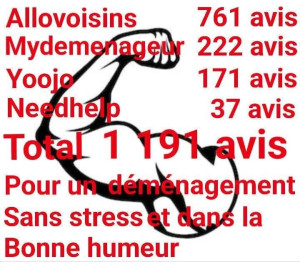 Photo de galerie - Plutôt pas mal pour un simple particulier et cela en complément de mon travail sans compter les déménagements effectués par le bouche à oreille 