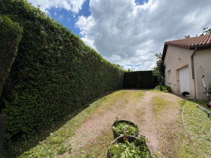 Photo de galerie - Taille de haie 