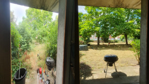 Photo de galerie - Avant /Après d'un entretien de jardin avec debroussaillage, taille d'arbre et arbustif