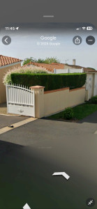 Photo de galerie - Avant Abbatage de la haie 