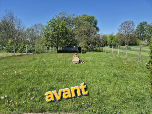Photo de galerie - Tonte de pelouse - Débroussaillage