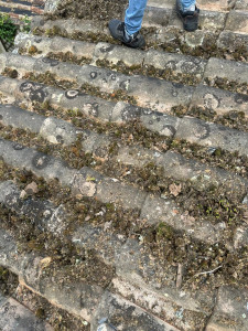 Photo de galerie - Couverture - Toiture