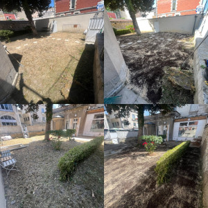 Photo de galerie - Engazonneuse