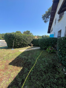 Photo de galerie - Taille du jour 