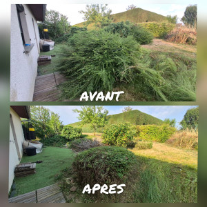 Photo de galerie - Taille d'arbustes 