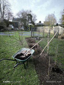 Photo de galerie - Création d'une haie fruitière en pied de clôture 