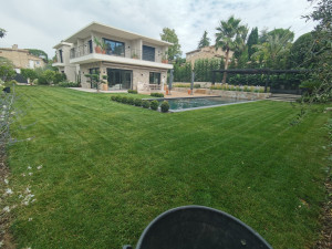 Photo de galerie - Entretien de jardin