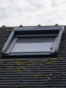 Photo de galerie - Avant nettoyage velux et toiture 
