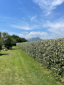 Photo de galerie - Jardinier