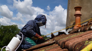 Photo de galerie - Destruction de nid sous toiture