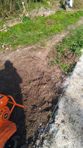 Photo de galerie - J'ai passé le motoculteur pour enlever mauvaise herbes  ronces une fois tout enlevé repassé le motoculteur  passé une  griffe pour le terrain soit propre 