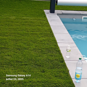 Photo de galerie - Résultats avec des graines pour jardin