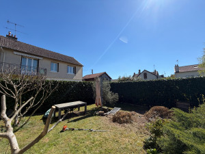 Photo de galerie - Taille de laurier 