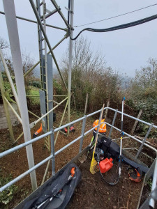 Photo de galerie - Paysagiste - Aménagement du jardin