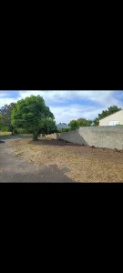 Photo de galerie - Supression d'une haie bocagères après 