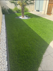 Photo de galerie - Création de gazon 