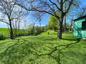 Photo de galerie - Tonte, débroussaillage, taille de haie, nettoyage, plantation 