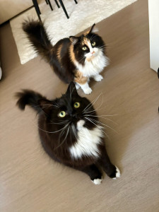 Photo de galerie - RUBY & ANASTASIA 