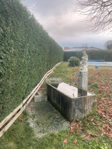 Photo de galerie - Taille de haies et d'arbustes