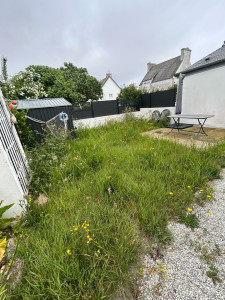 Photo de galerie - Tonte du jardin