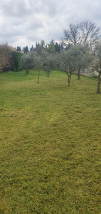 Photo de galerie - Tonte jardin,debroussailleuse finition