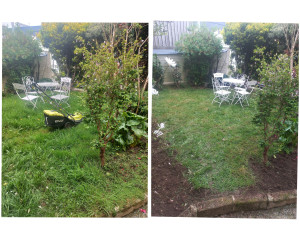 Photo de galerie - Tonte de pelouse et débroussaillage réalisée 