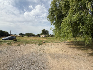 Photo de galerie - Tonte de pelouse - Débroussaillage