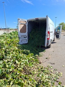 Photo de galerie - Evacuation gravats et dechets verts, plus tri decheterie