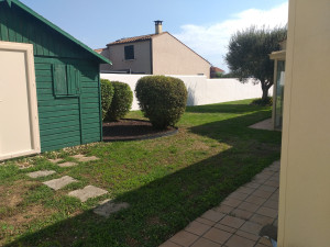 Photo de galerie - Taille de haies et d'arbustes