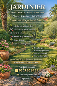 Photo de galerie - Flyer visuel 