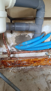 Photo de galerie - Rebouchage de trous car suspicion de rats