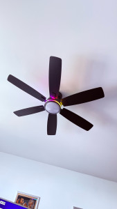 Photo de galerie - Pose de Luminaires / Ventilateur 