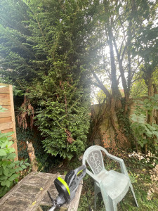 Photo de galerie - Petit début de chantier 