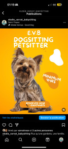 Photo de galerie - Dog sitting