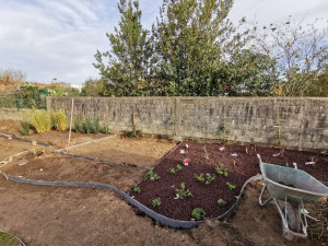 Photo de galerie - Paysagiste - Aménagement du jardin