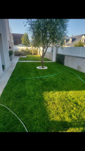 Photo de galerie - Il s'agit d un Gazon  que j ai refait complètement au qu'elle j ai fait la première tonte 