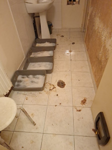 Photo de galerie - Ménage pièce litière 