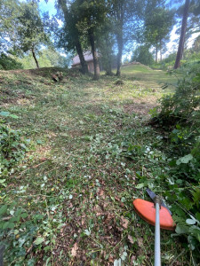Photo de galerie - Tonte de pelouse - Débroussaillage