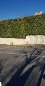 Photo de galerie - Après