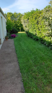 Photo de galerie - Jardin vue de l'entrée