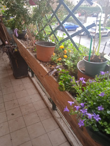 Photo de galerie - Paysagiste - Aménagement du jardin